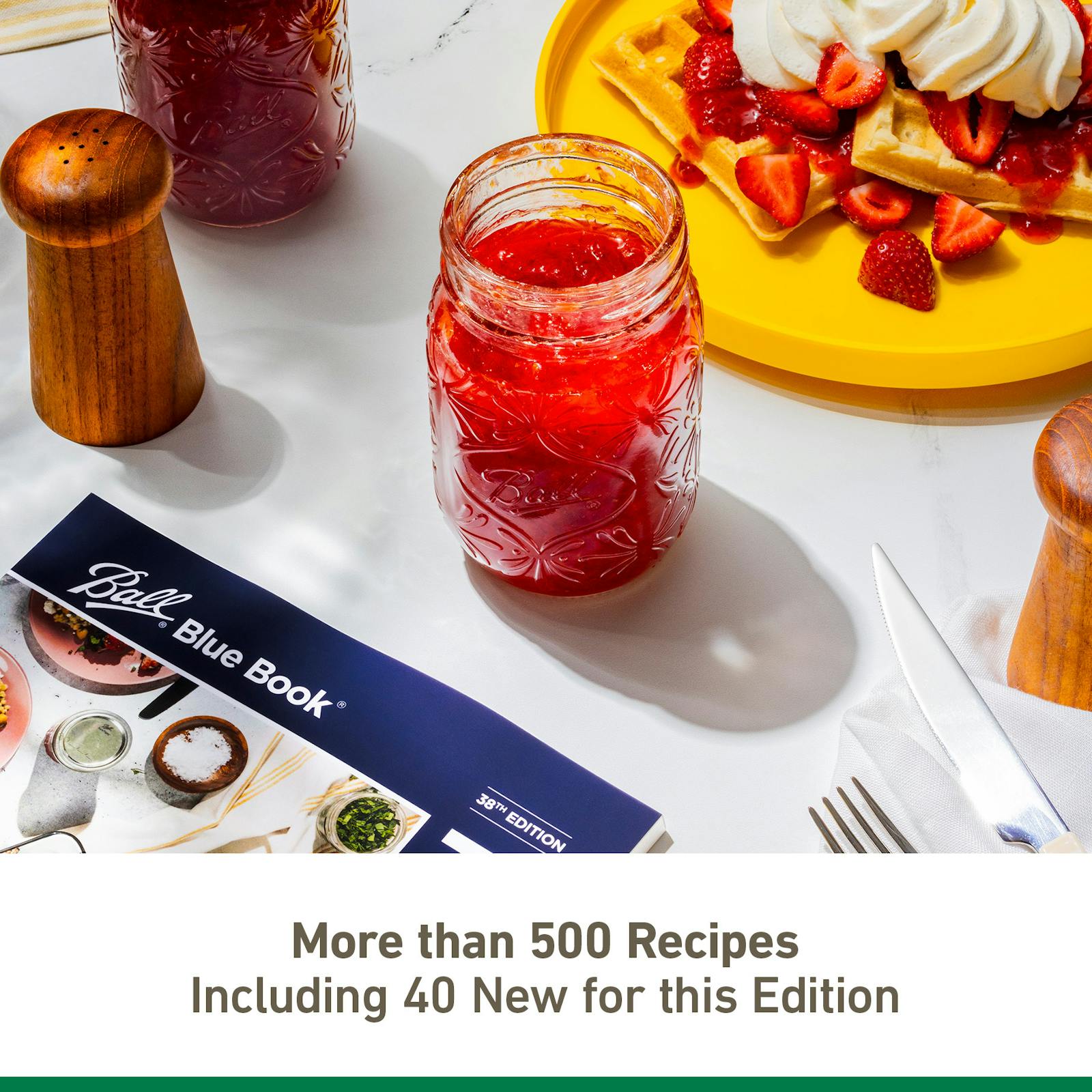 500+ recipes including 40 new